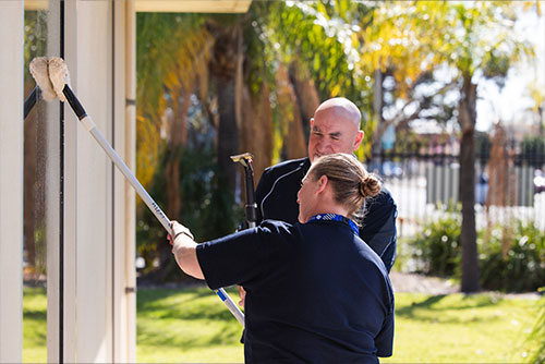 Window Cleaning